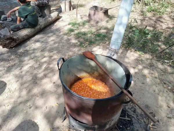 Gödöllő